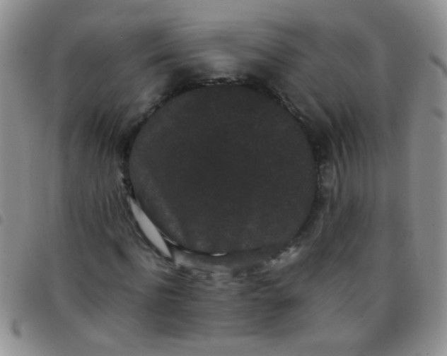 X0000097500916200803142016