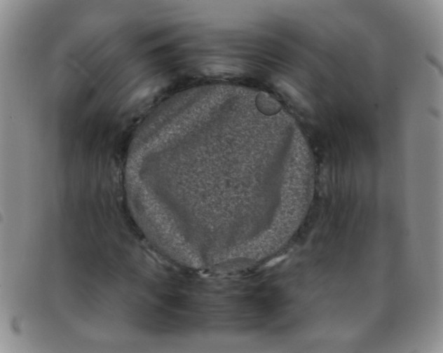 X0000097500917200803142016