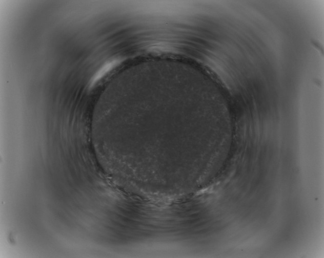 X0000097500919200803142016