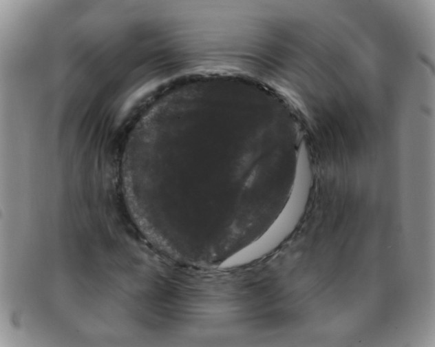 X0000097500920200803142016