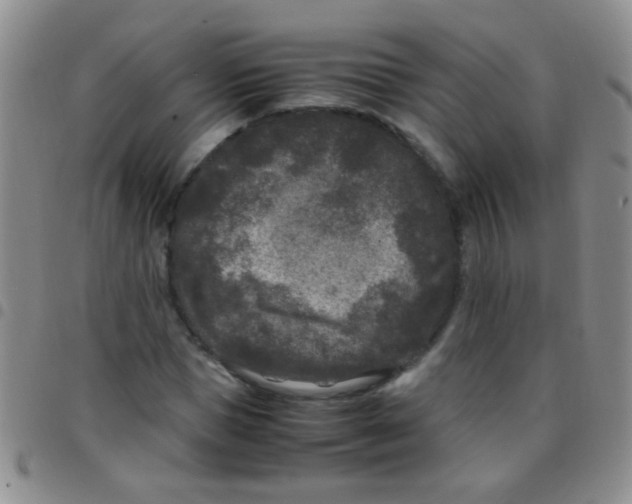 X0000097500921200803142016