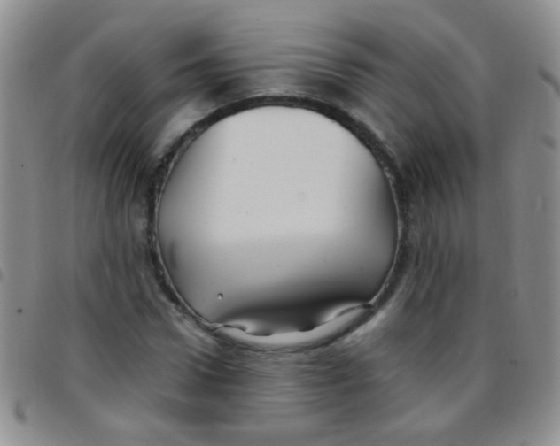 X0000097500922200803142016