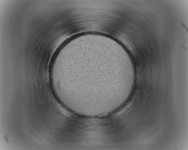 X0000097500924200803142016