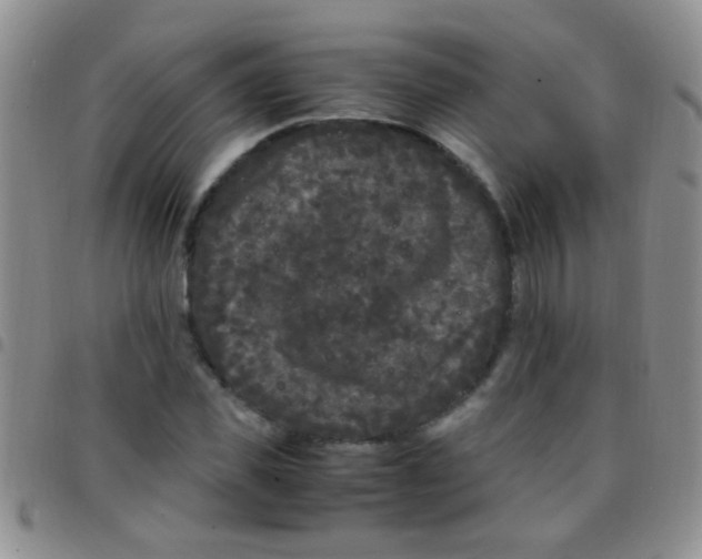 X0000097500925200803142016