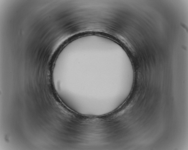 X0000097500926200803142016