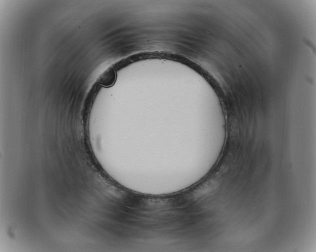 X0000097500927200803142016