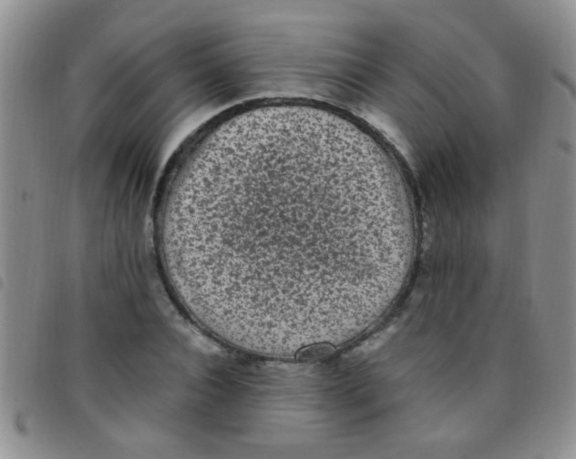 X0000097500928200803142016