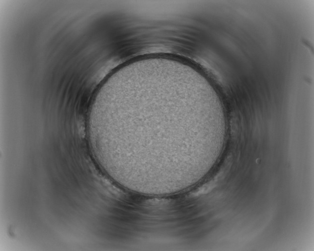 X0000097500929200803142016