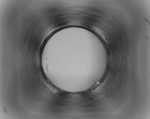 X0000097500931200803142016