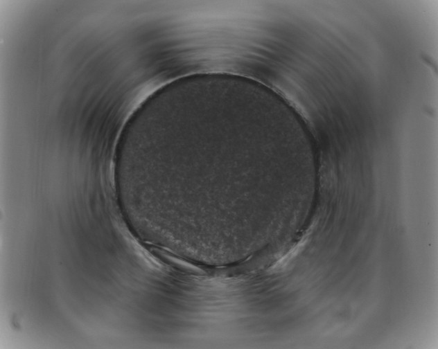 X0000097500932200803142016