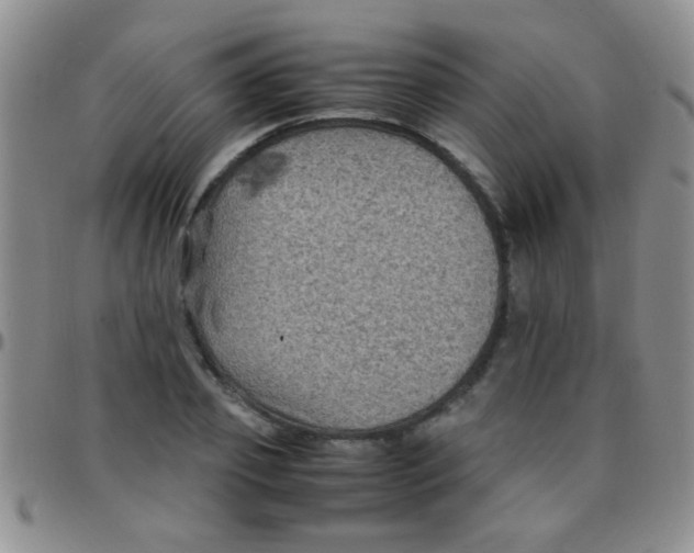 X0000097500933200803142016