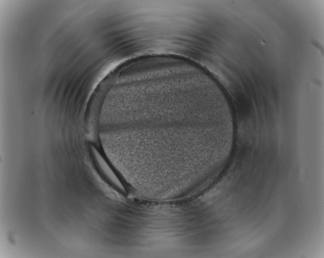 X0000097500934200803142016