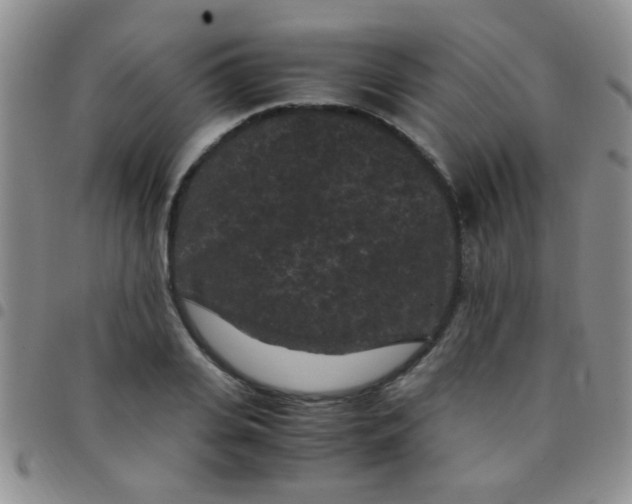 X0000097500935200803142016