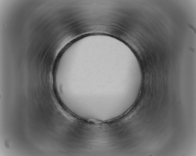 X0000097500936200803142016