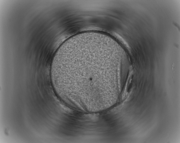 X0000097500937200803142016