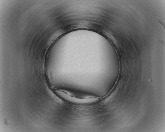 X0000097500938200803142016