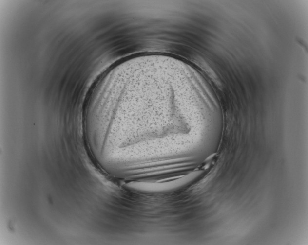 X0000097500939200803142016