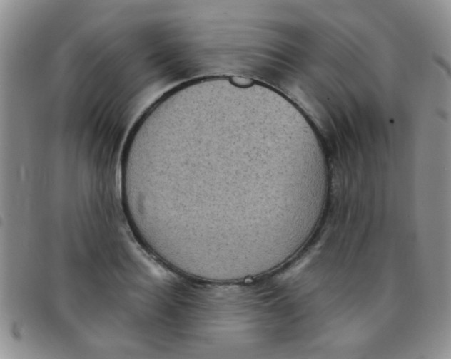 X0000097500940200803142016