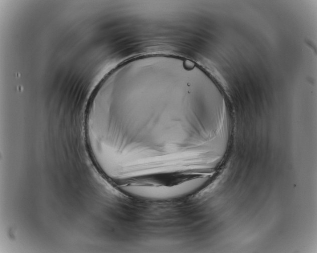 X0000097500941200803142016