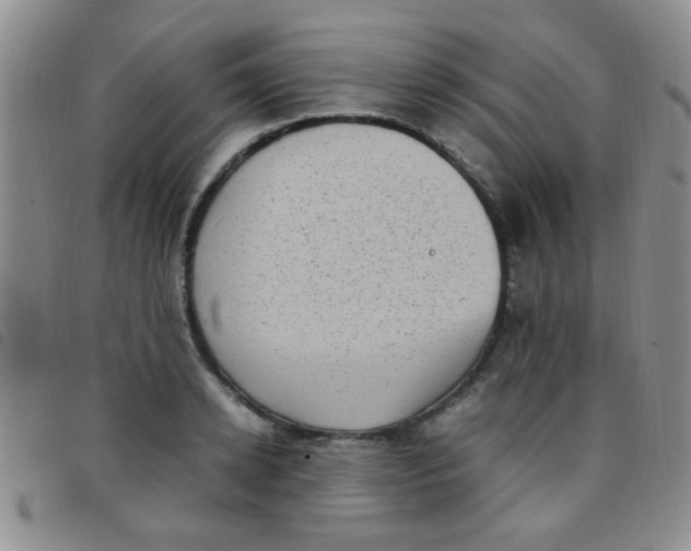 X0000097500942200803142016