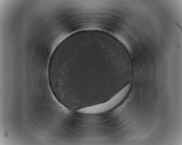 X0000097500943200803142016