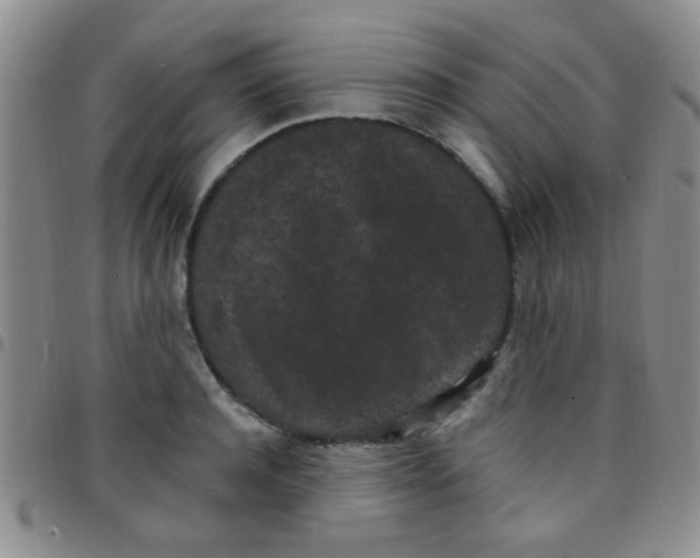 X0000097500944200803142016