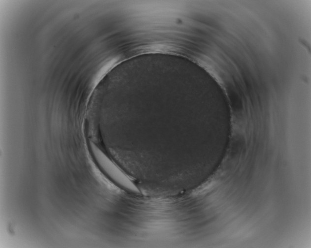 X0000097500946200803142016