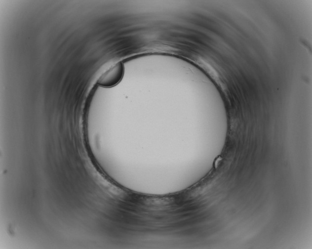 X0000097500947200803142016