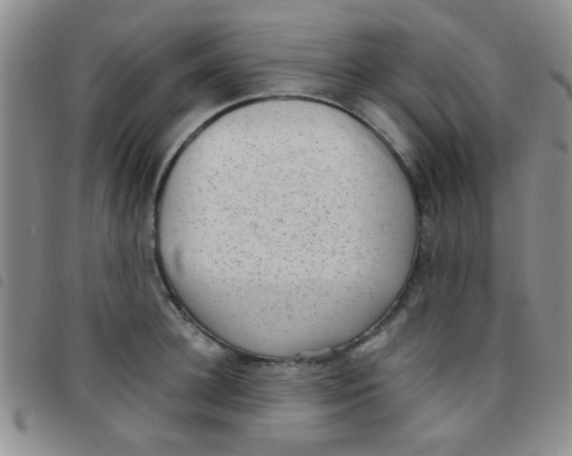 X0000097500948200803142016