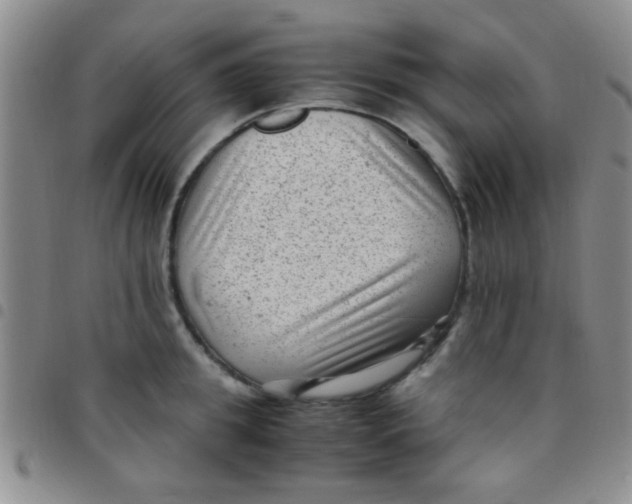 X0000097500949200803142016