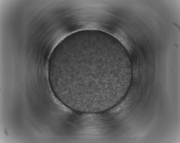 X0000097500950200803142016