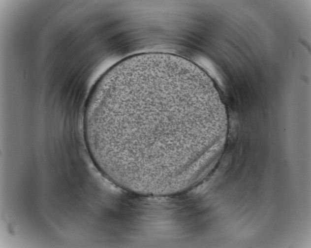 X0000097500952200803142016