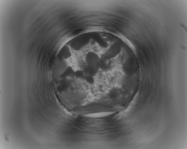 X0000097500953200803142016