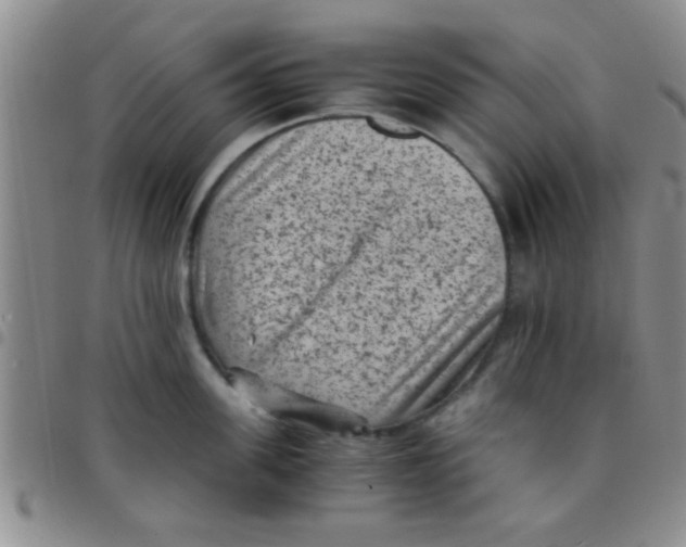 X0000097500955200803142016