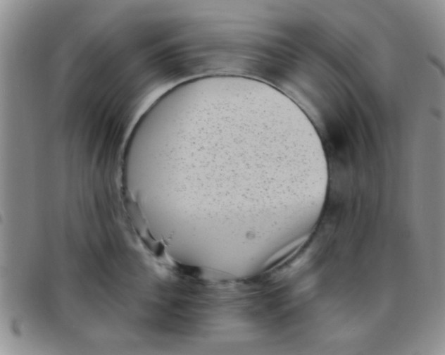 X0000097500956200803142016