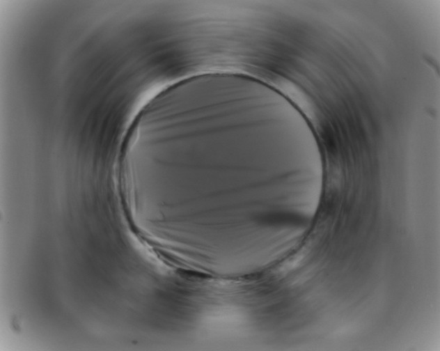 X0000097500958200803142016