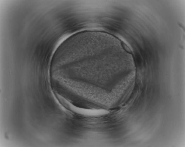 X0000097500959200803142017