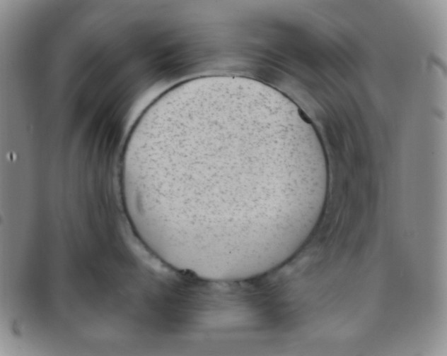 X0000097500960200803142017