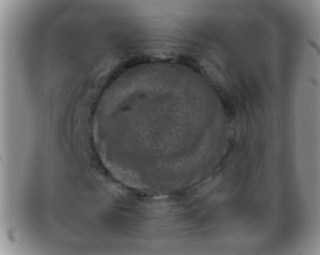 X0000097500961200803142016