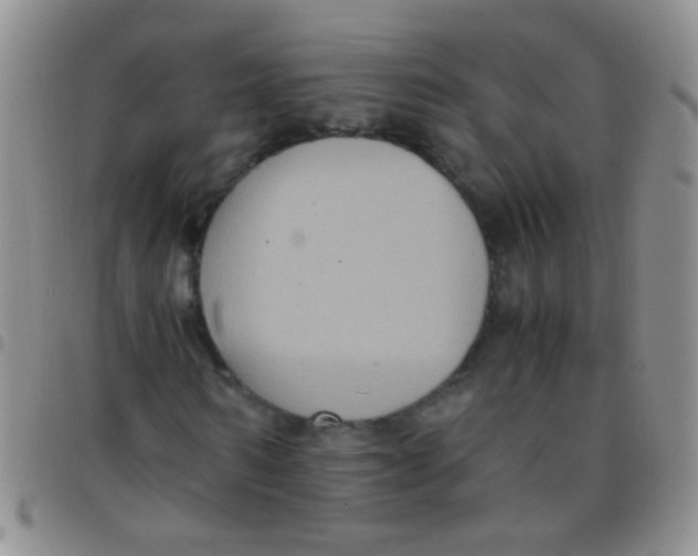 X0000097500962200803142016