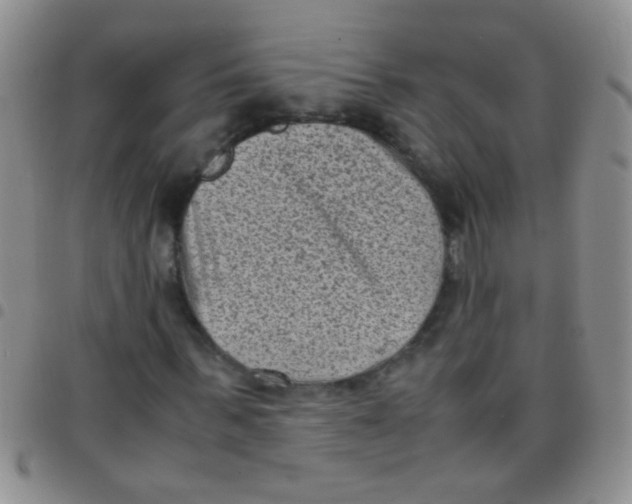 X0000097500963200803142016