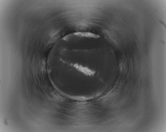 X0000097500964200803142016