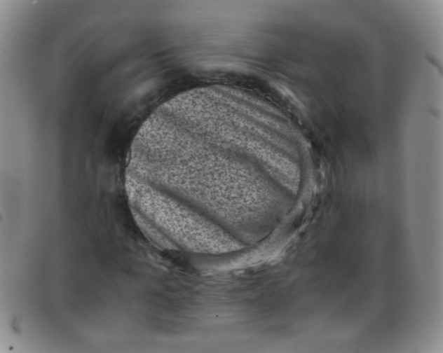 X0000097500965200803142016