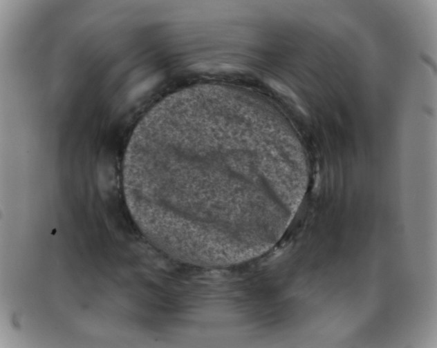 X0000097500966200803142016