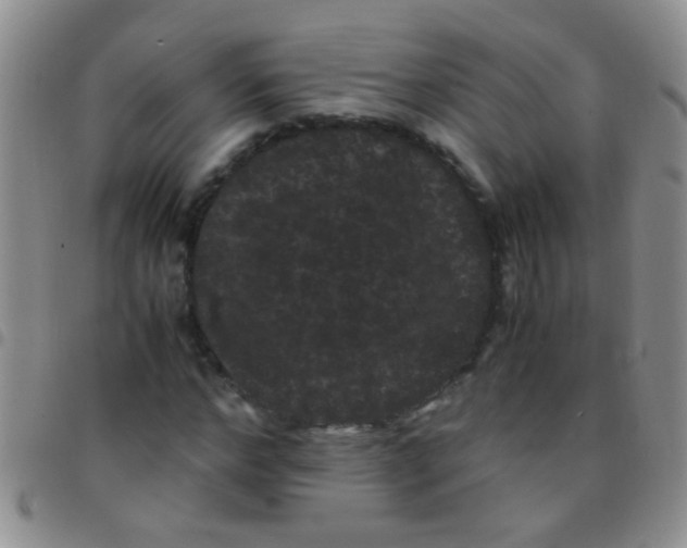 X0000097500968200803142016