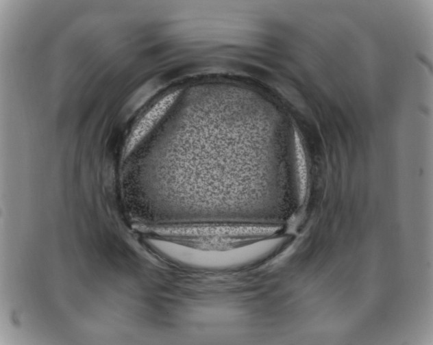 X0000097500969200803142016