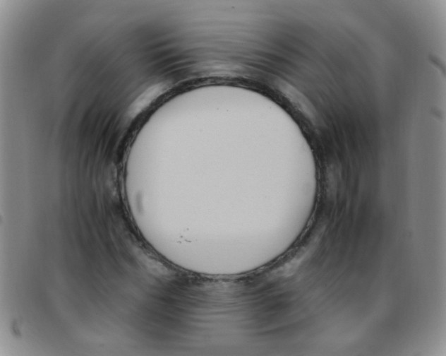 X0000097500970200803142016