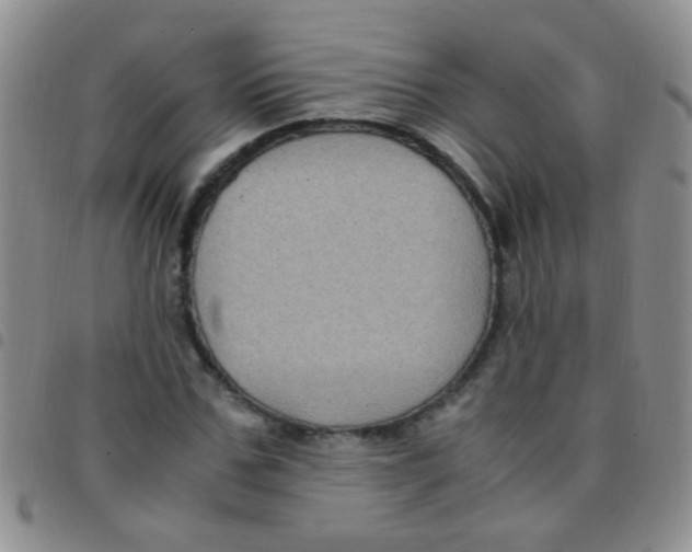 X0000097500971200803142016