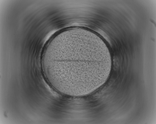 X0000097500972200803142016