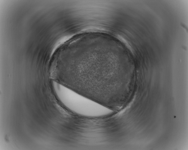 X0000097500973200803142016